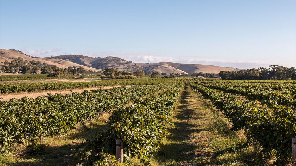 Barossa Valley