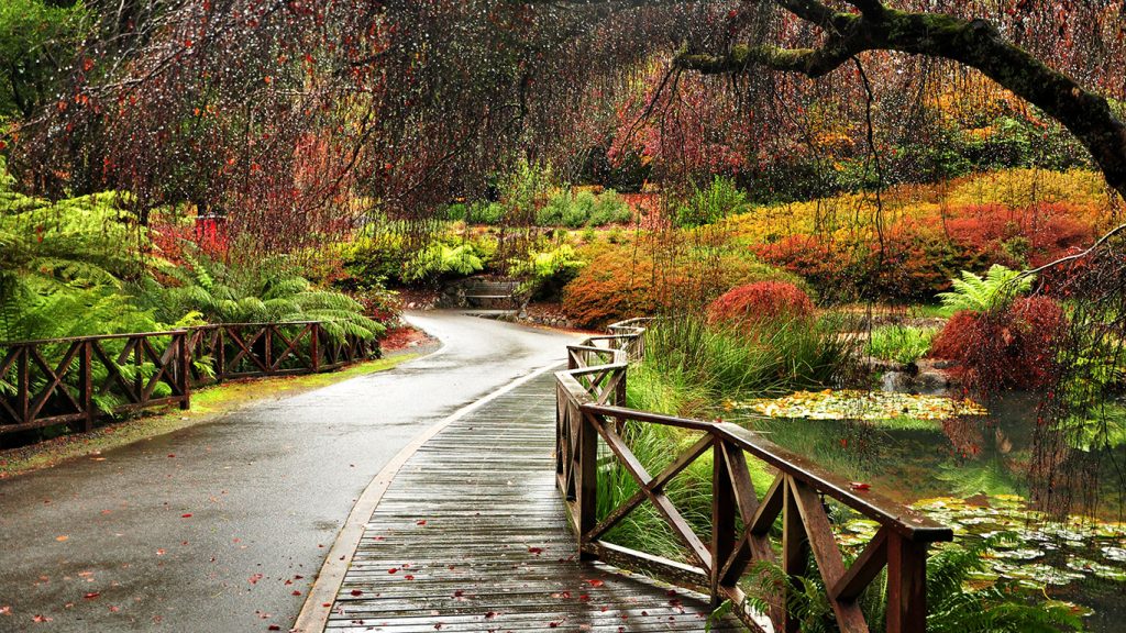 Dandenong Ranges