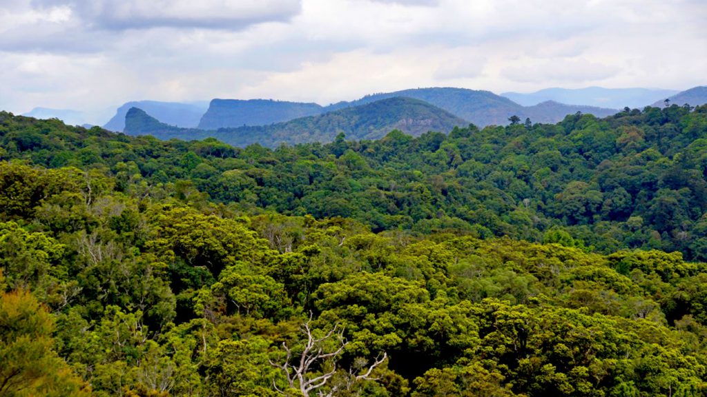 Main Range National Park