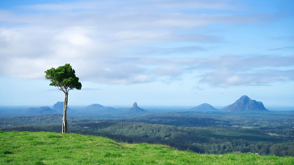 One Tree Hill, Queensland