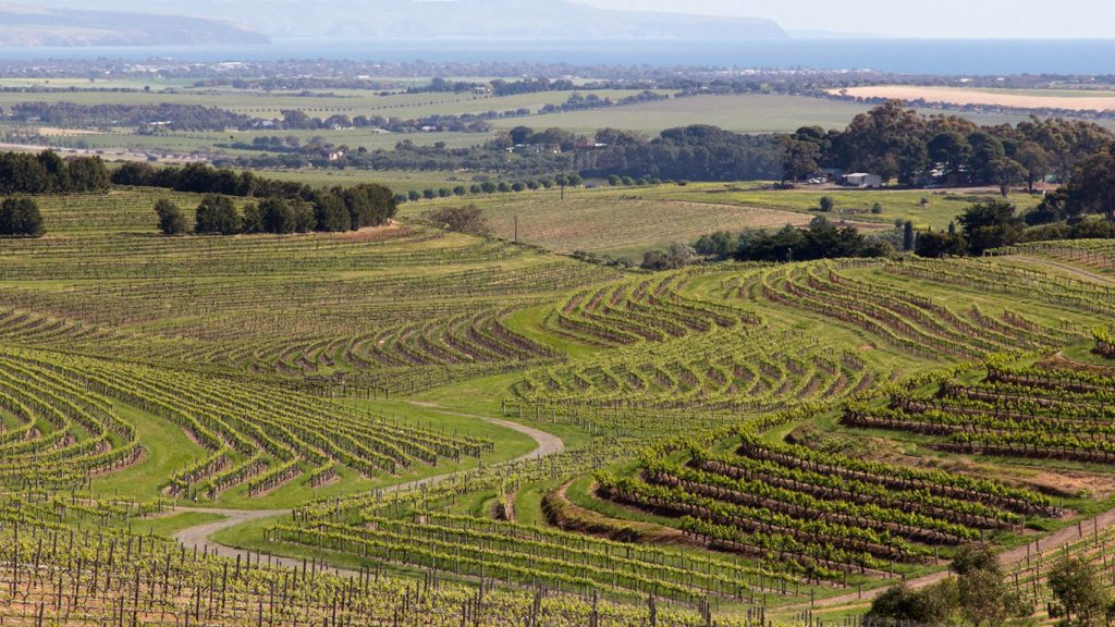 McLaren Vale