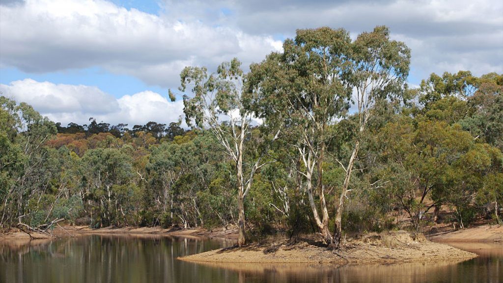 Para Wirra Conservation Park