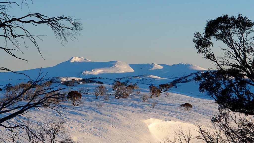 Snowy Mountains