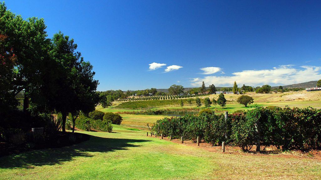 The Swan Valley