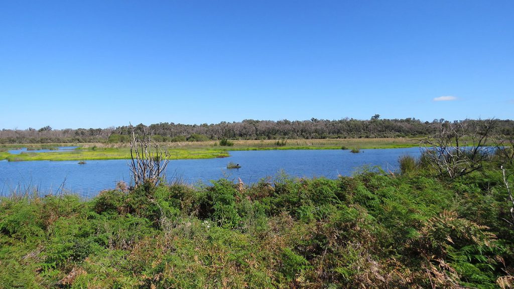Yanchep National Park