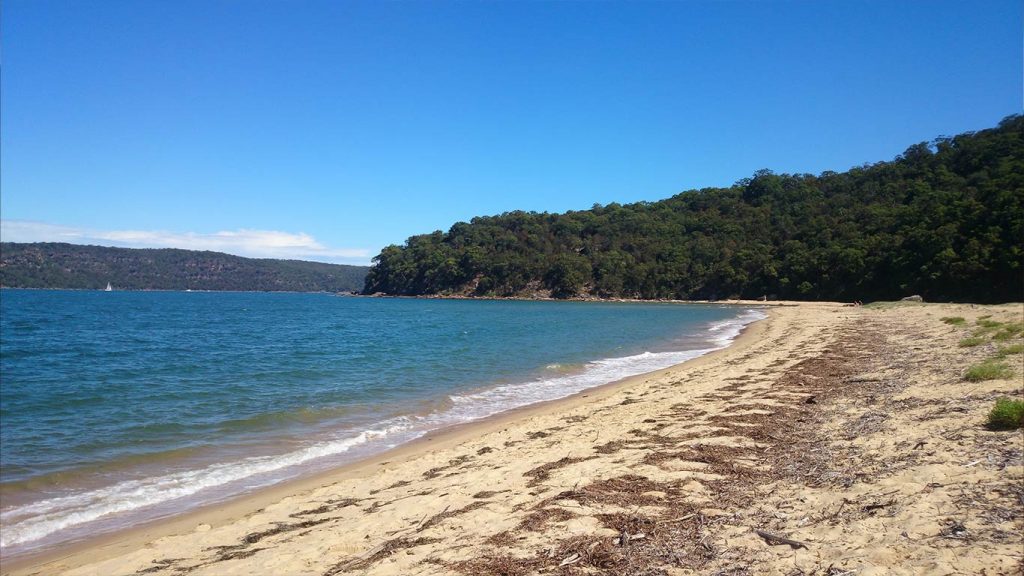Patonga Beach